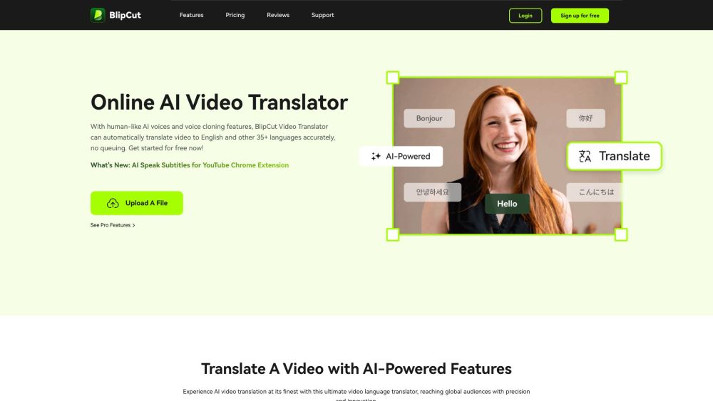 BlipCut AI Video Translator: Online AI Tool