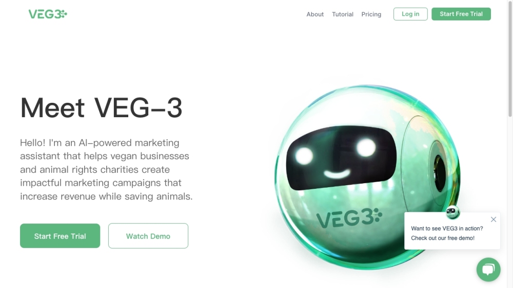 VEG3 Website screenshot