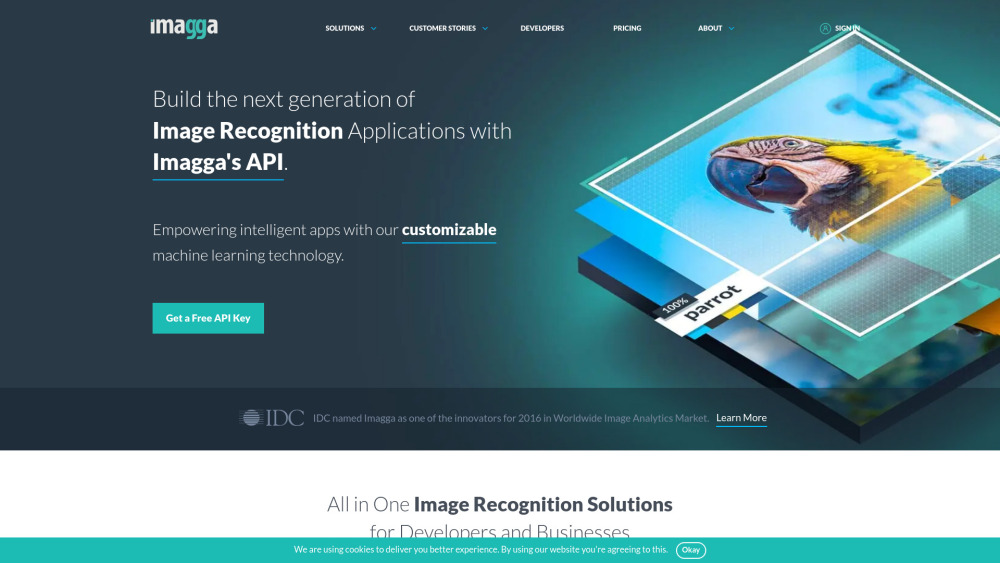Imagga Image Recognition API: AI Tool for Smart Product Name Solutions
