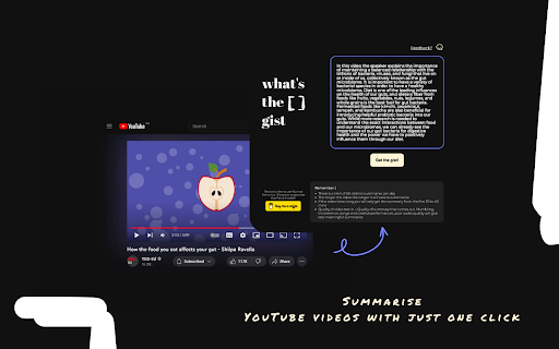 What's the gist - Chrome Extension: AI Tool for Instant YouTube Video Summaries