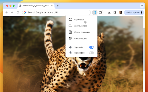 Skrinshoter - Chrome Extension: AI Tool for Instant Screen Capture & Record